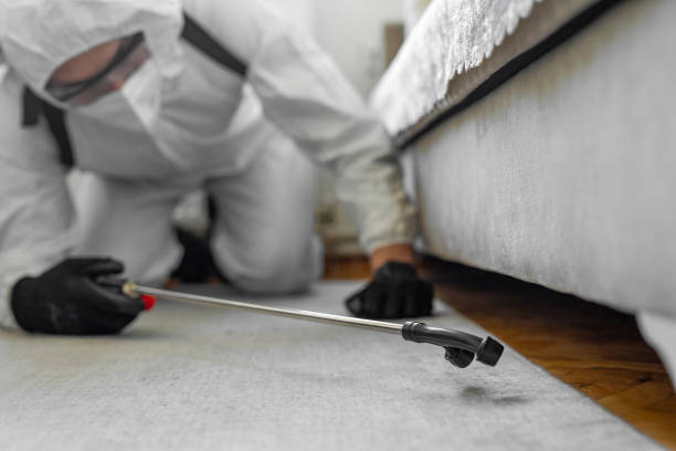 Professional Bed Bug Control technician working in West Jordan, UT