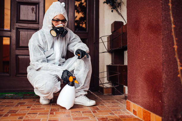 Reliable Bed Bug Control contractor in West Jordan, UT by Nex Pest Control