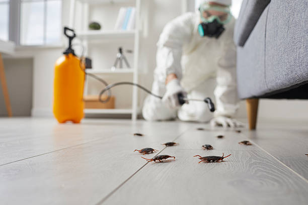 Trusted Cockroach Control service in West Jordan, UT - Nex Pest Control