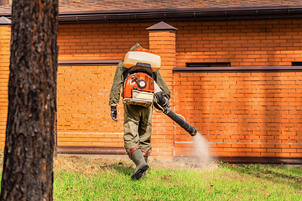 Trusted Bed Bug Control service in West Jordan, UT - Nex Pest Control